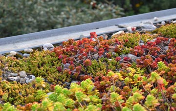 the cost of Upper Rodmersham green roof installation