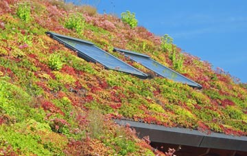 Upper Rodmersham living roof systems
