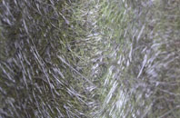 Upper Rodmersham fibreglass roof work